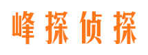 城步市婚外情调查